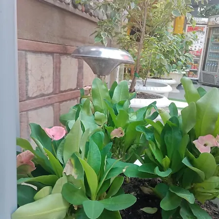 Carsi Hotel&cafe 酒店 特拉布宗